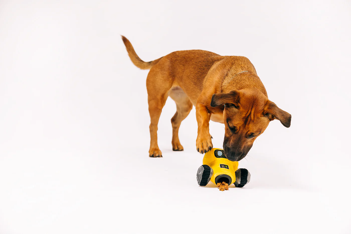 Alien Buddies Robo-Rover - Image 2