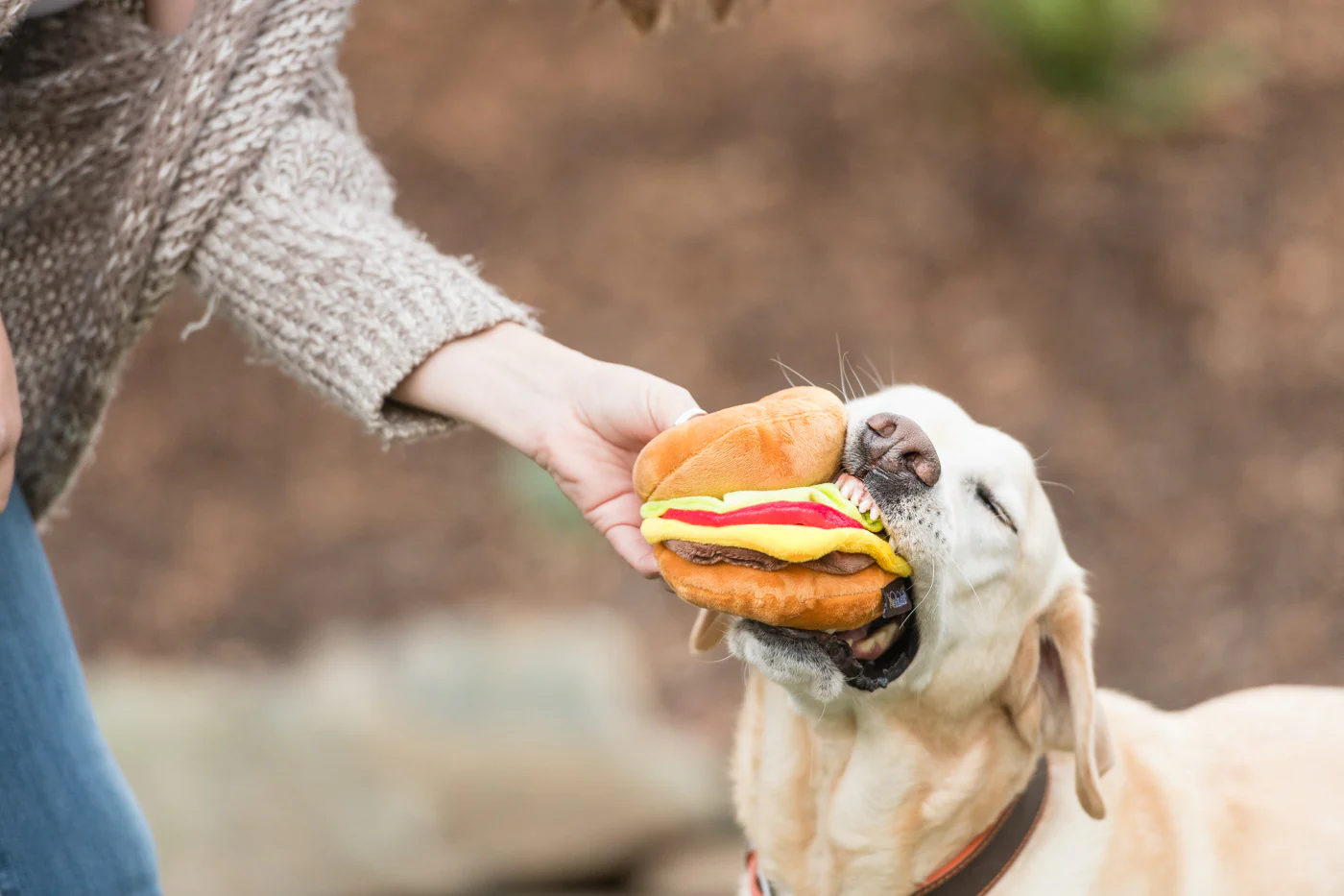 American Classic Barky Burger - Image 5