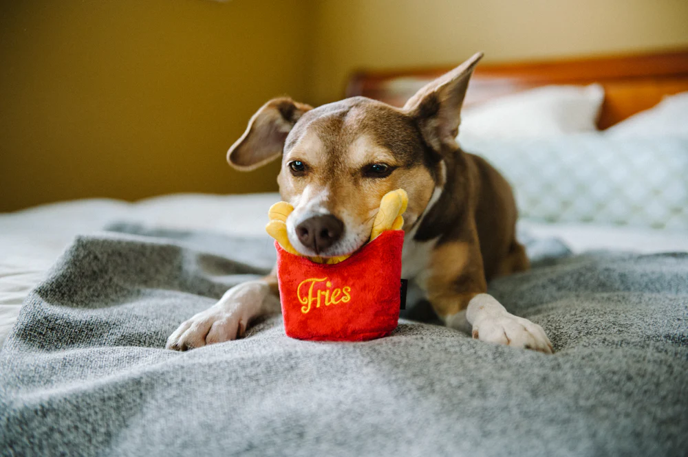 American Classic Frenchie Fries - Image 2