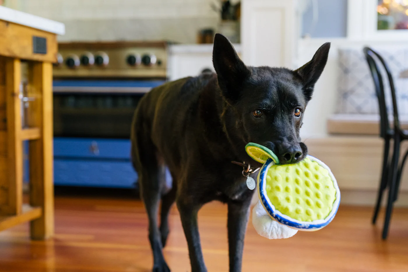 Barktender Pup-arita - Image 2