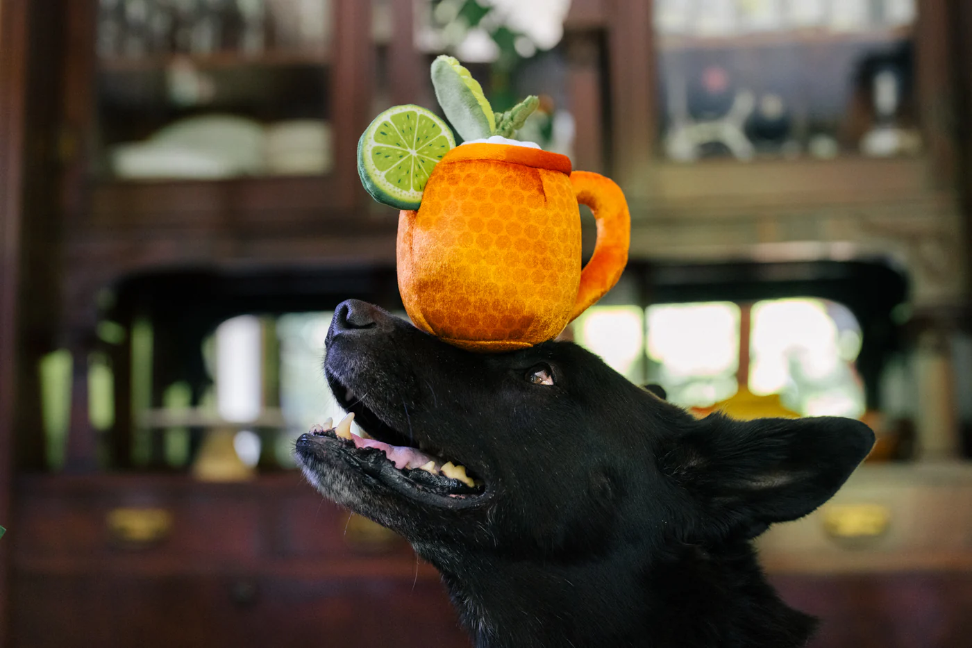 Barktender Toy Collection - Image 6