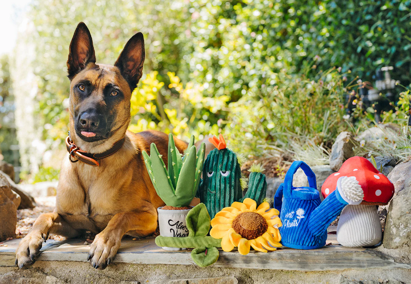 Blooming Buddies Collection - Image 2