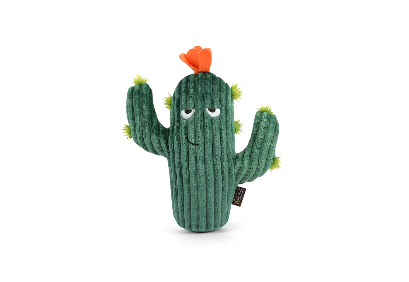 Blooming Buddies Prickly Pup Cactus