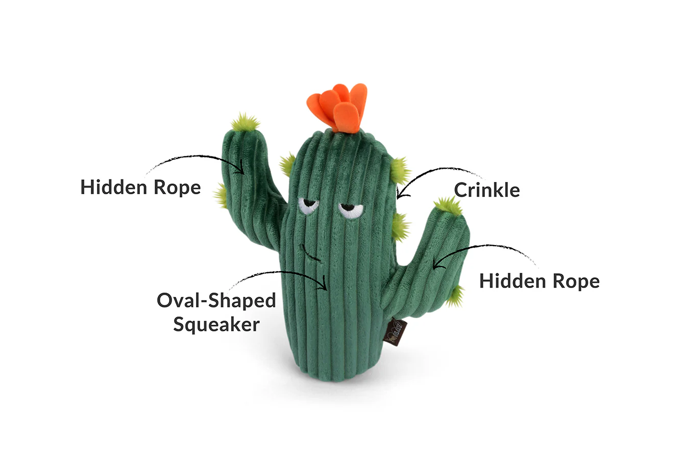 Blooming Buddies Prickly Pup Cactus - Image 3