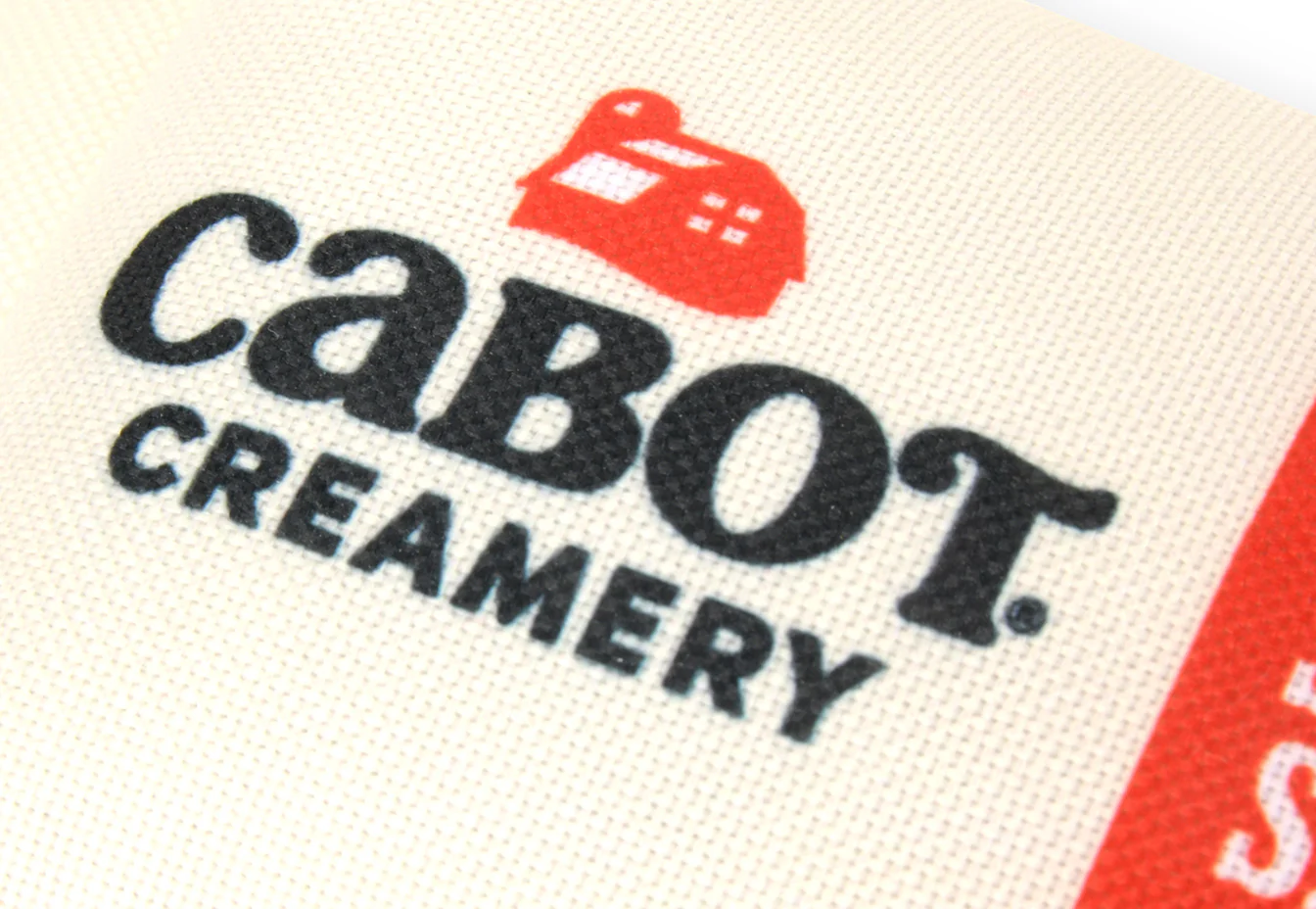 Cabot Creamery x Play Seriously Sharp Squeaker - Image 5