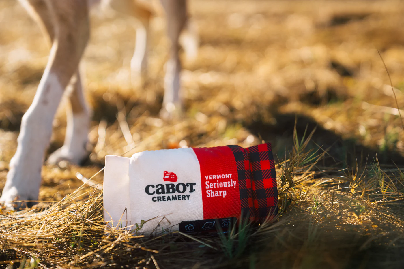 Cabot Creamery x Play Seriously Sharp Squeaker - Image 6