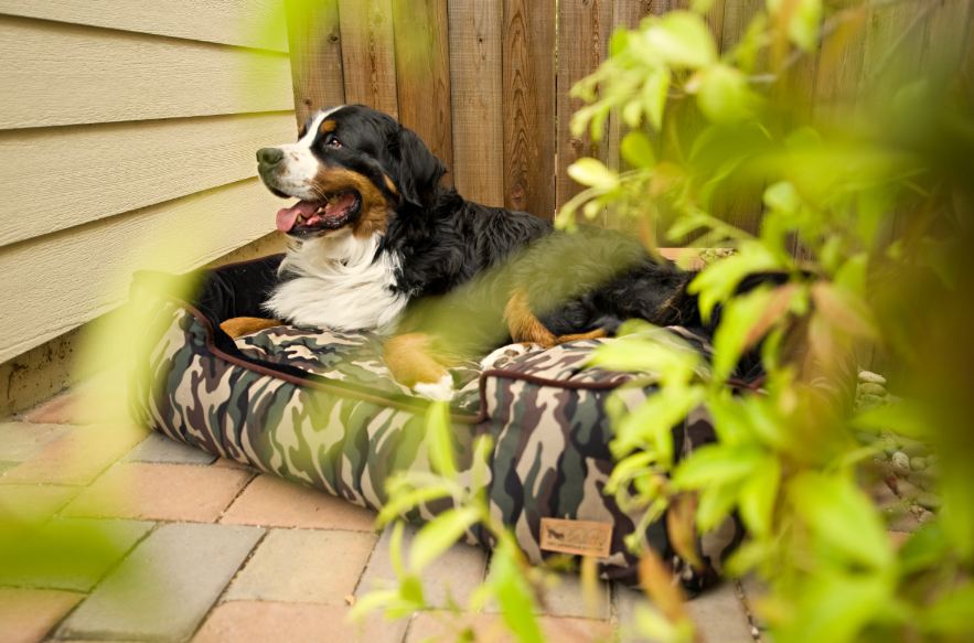 Camouflage Lounge Bed - Image 3