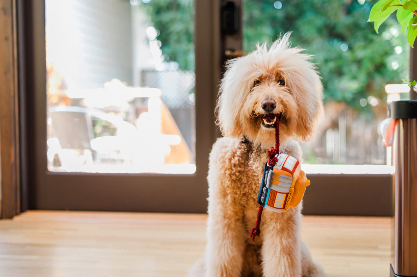 Canine Commute Collection - Image 10