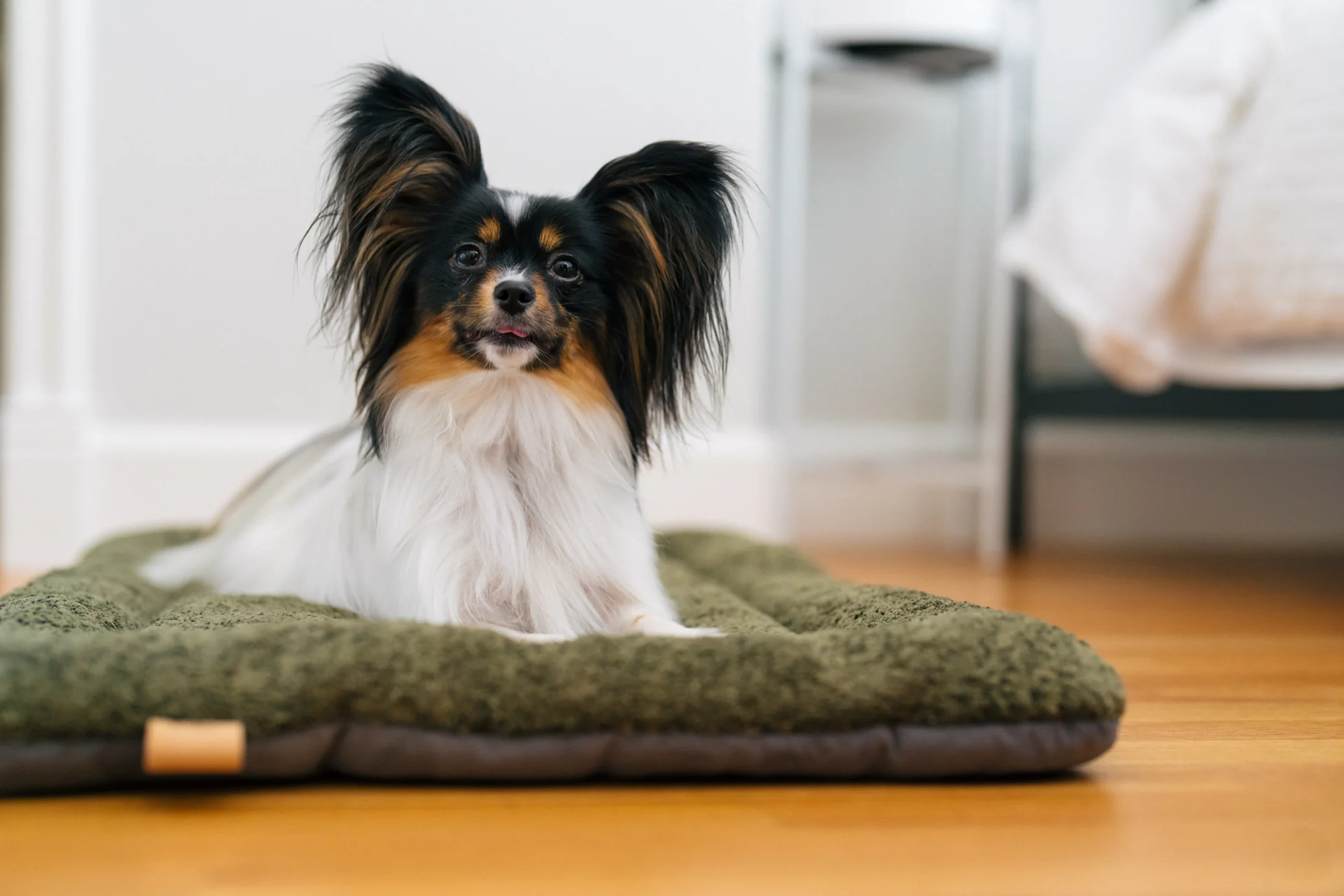 Canyon Series Chill Pad - Image 6