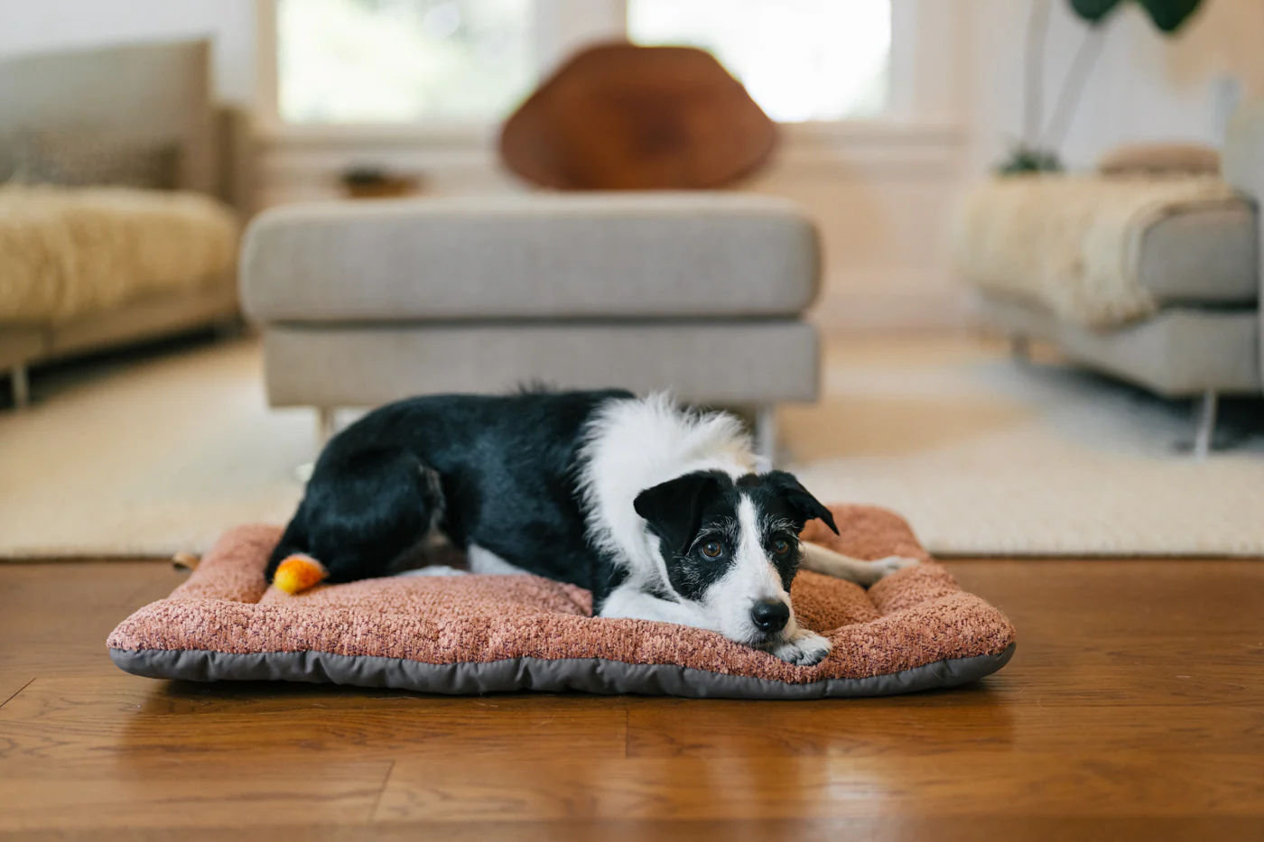 Canyon Series Chill Pad - Image 8