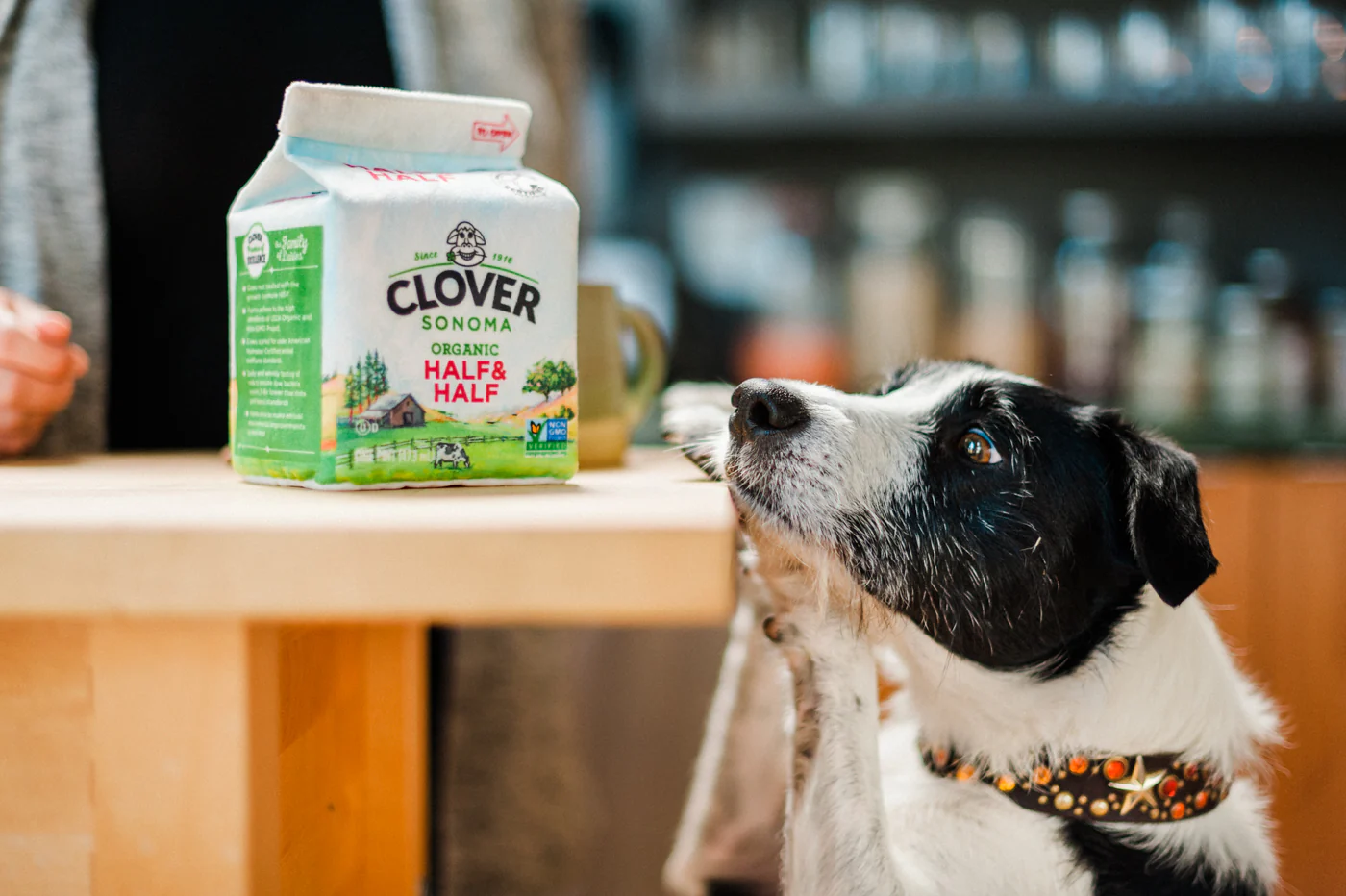 Clover Sonoma x P.L.A.Y. Canine Carton Toy - Image 6