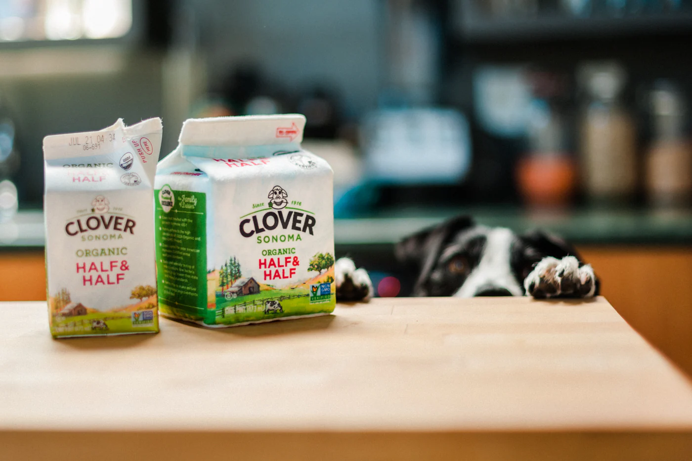 Clover Sonoma x P.L.A.Y. Canine Carton Toy - Image 9