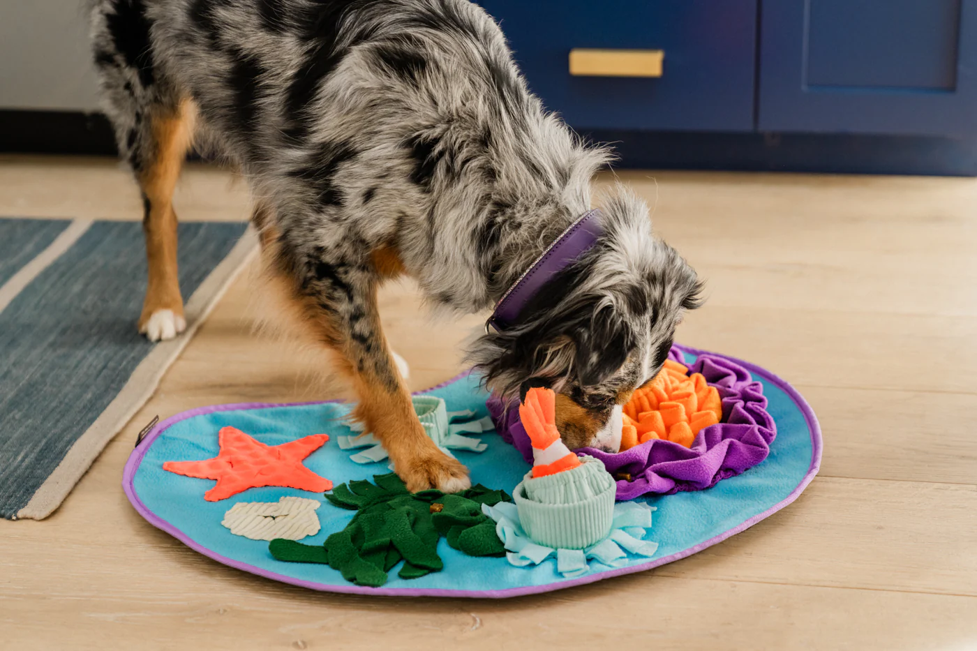 Coral Cove Snuffle Mat - Image 2