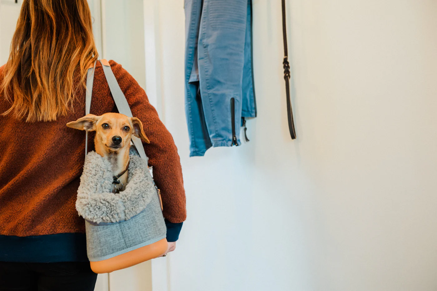 LeftPine x P.L.A.Y. Deluxe Dog Carrier - Image 2