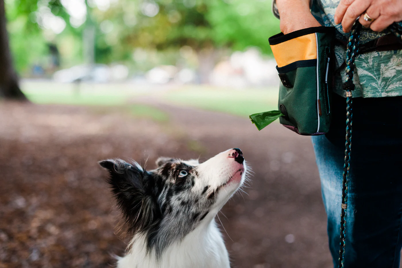 Deluxe Training Pouch - Image 16