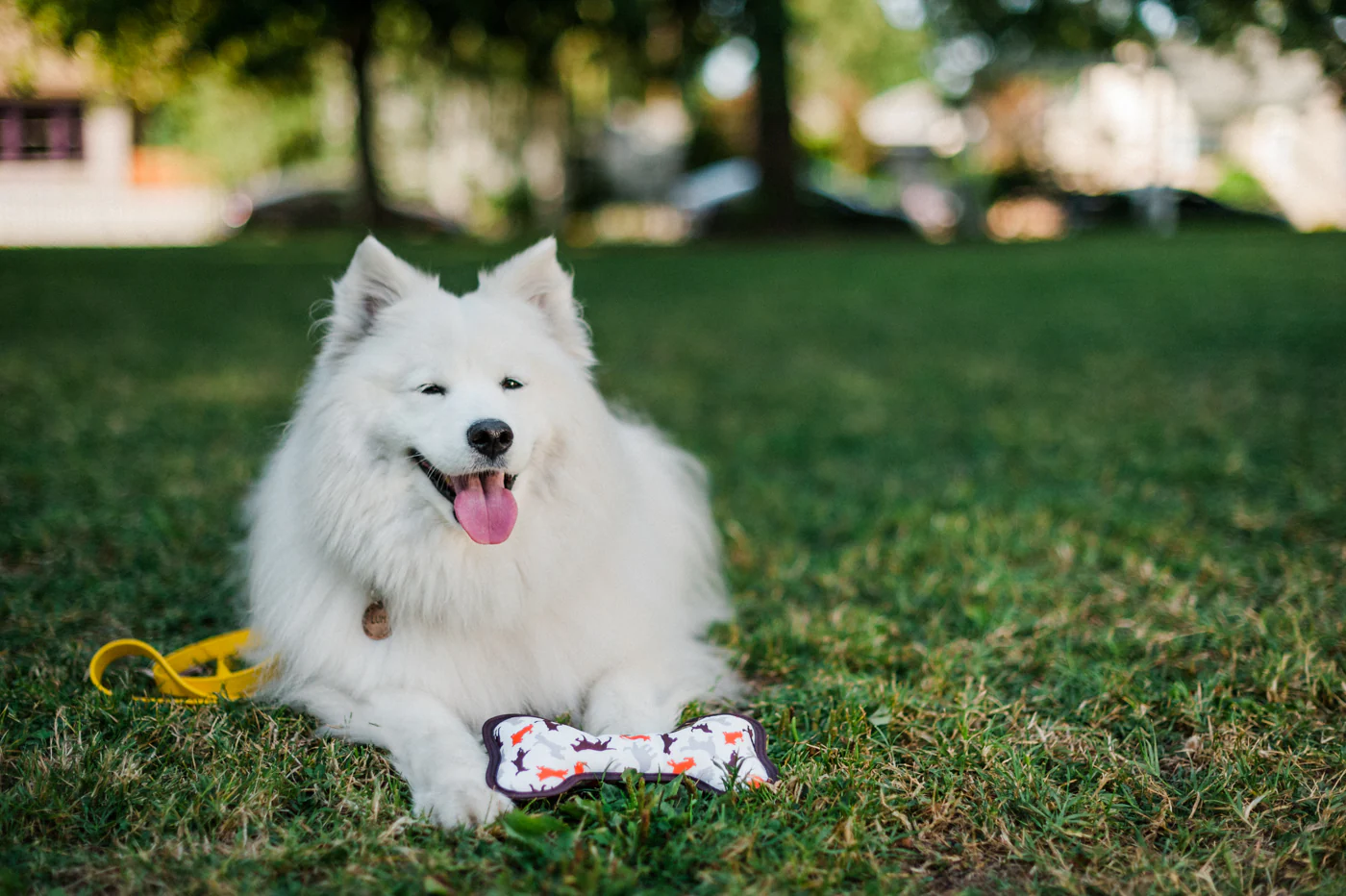 ECO PLAY Bone - Image 18