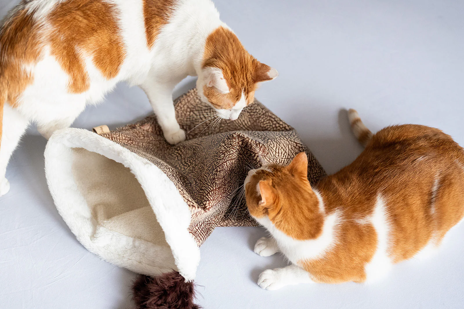 Feline Frenzy Cat Crinkle Sack - Image 5