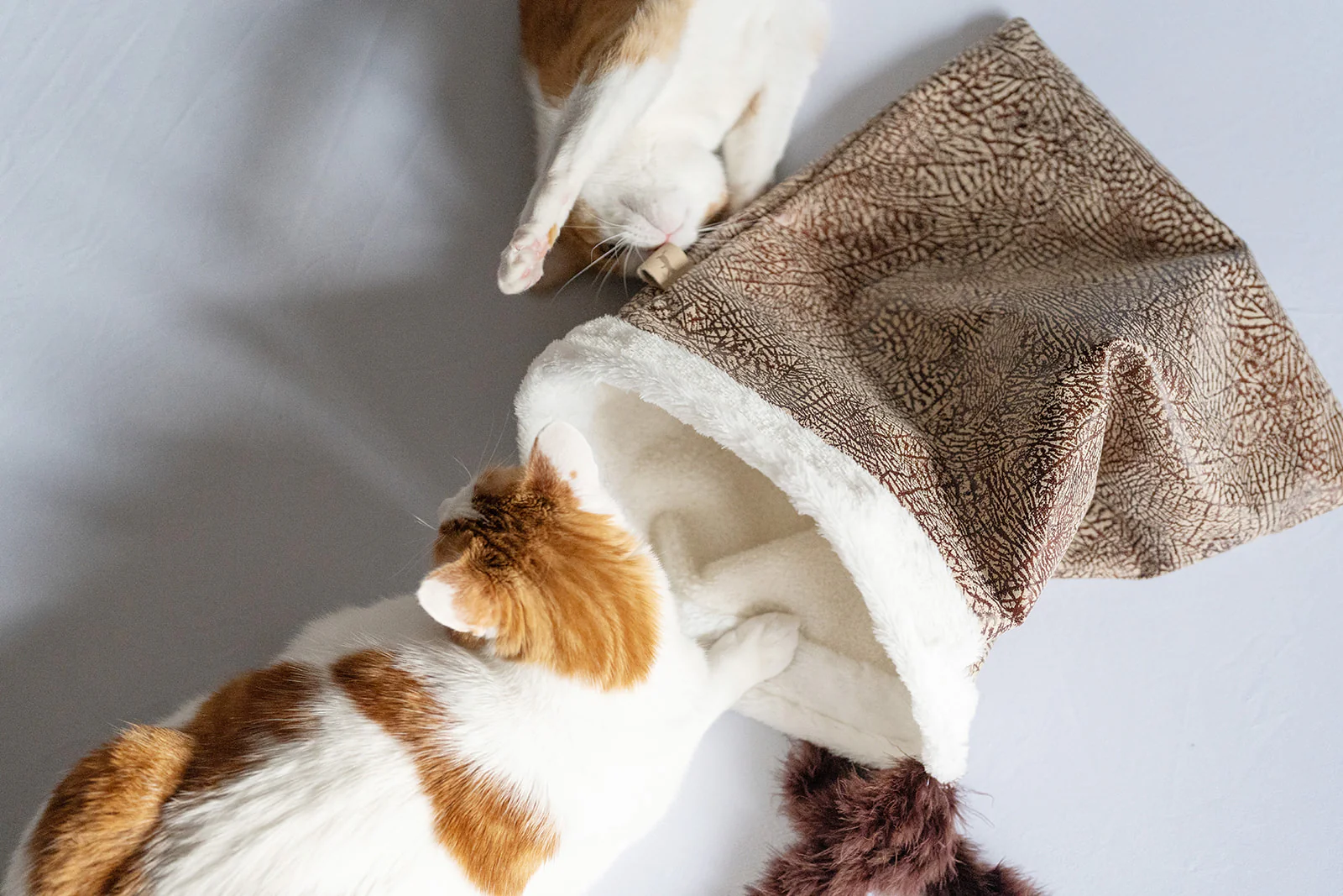 Feline Frenzy Cat Crinkle Sack - Image 6