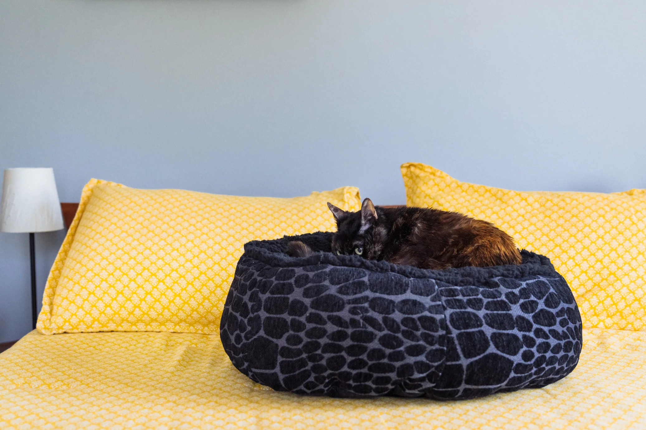 Feline Frenzy Donut Cuddler Bed - Image 9