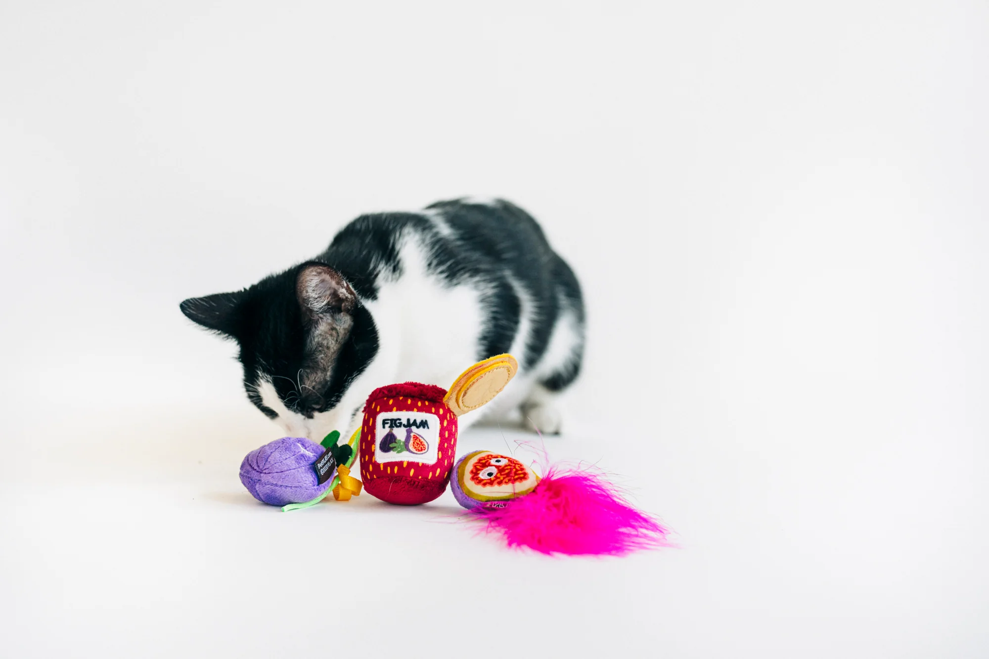 Feline Frenzy Fig N' Whiskers - Image 2