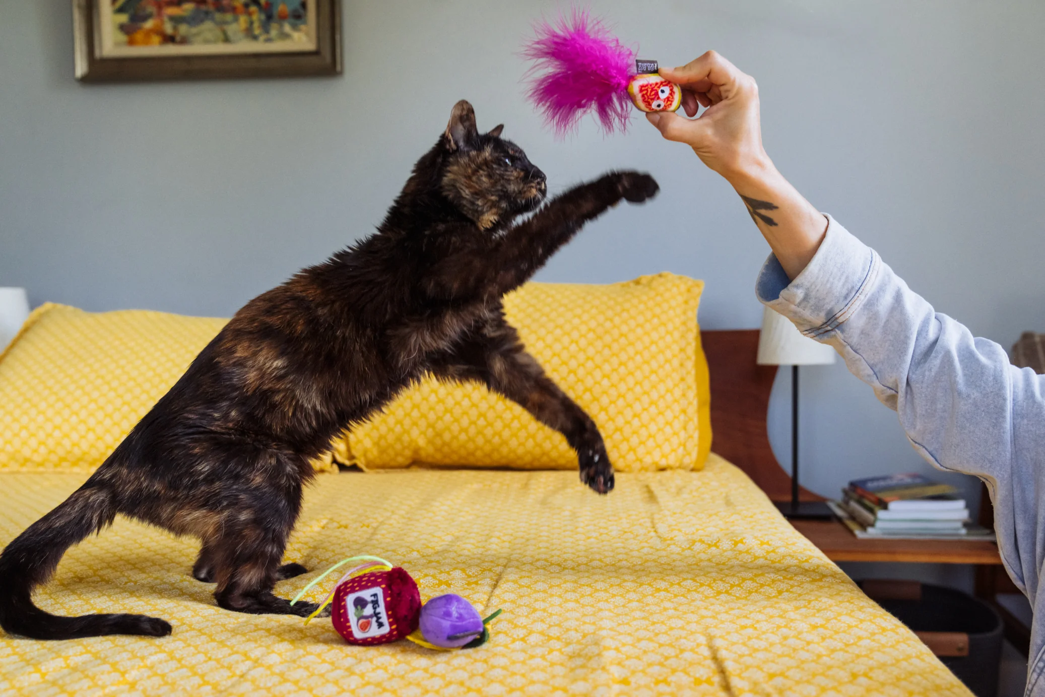 Feline Frenzy Fig N' Whiskers - Image 5