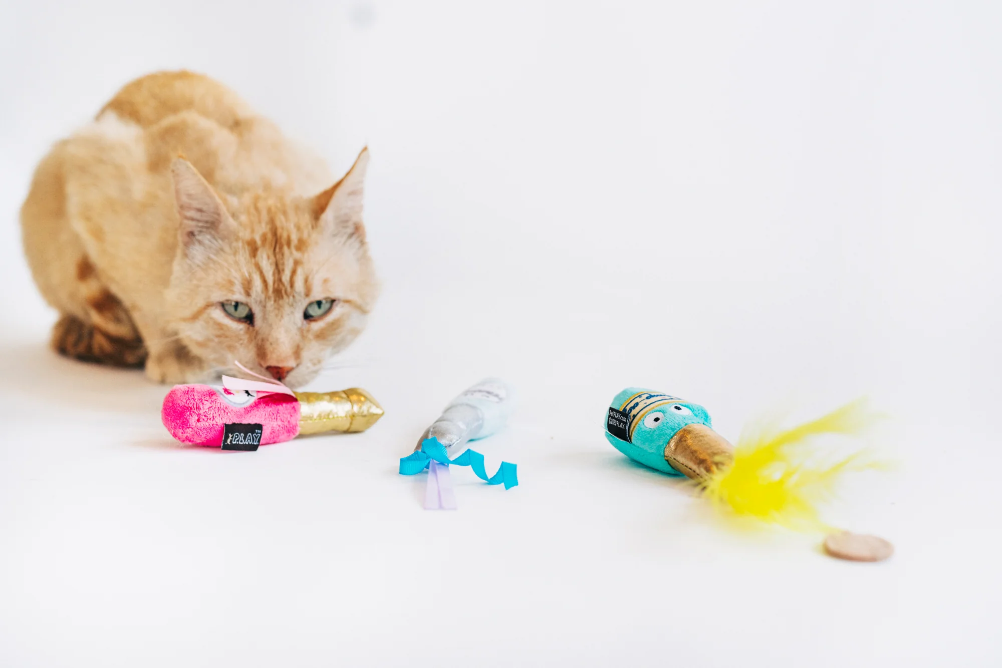 Feline Frenzy Pop, Fizz, Meow - Image 2