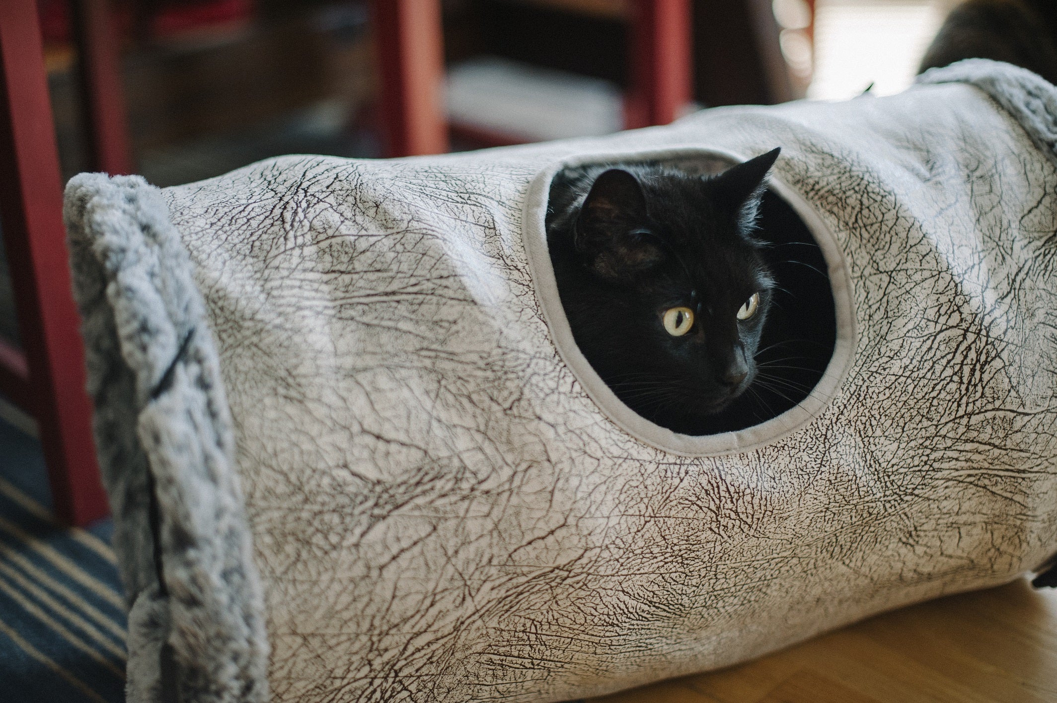Feline Frenzy Purr & Pounce Cat Tunnel - Image 3