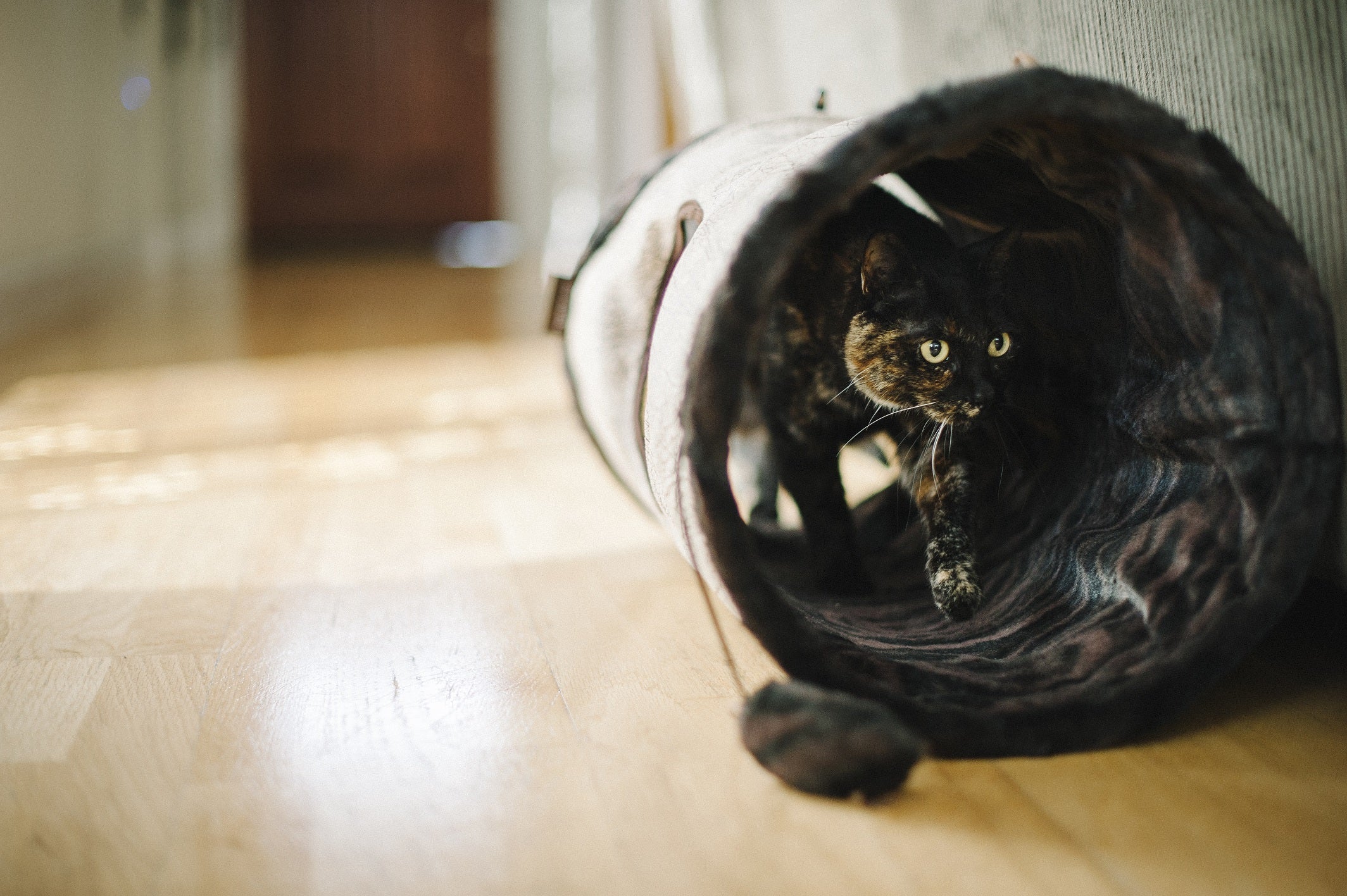 Feline Frenzy Purr & Pounce Cat Tunnel - Image 7