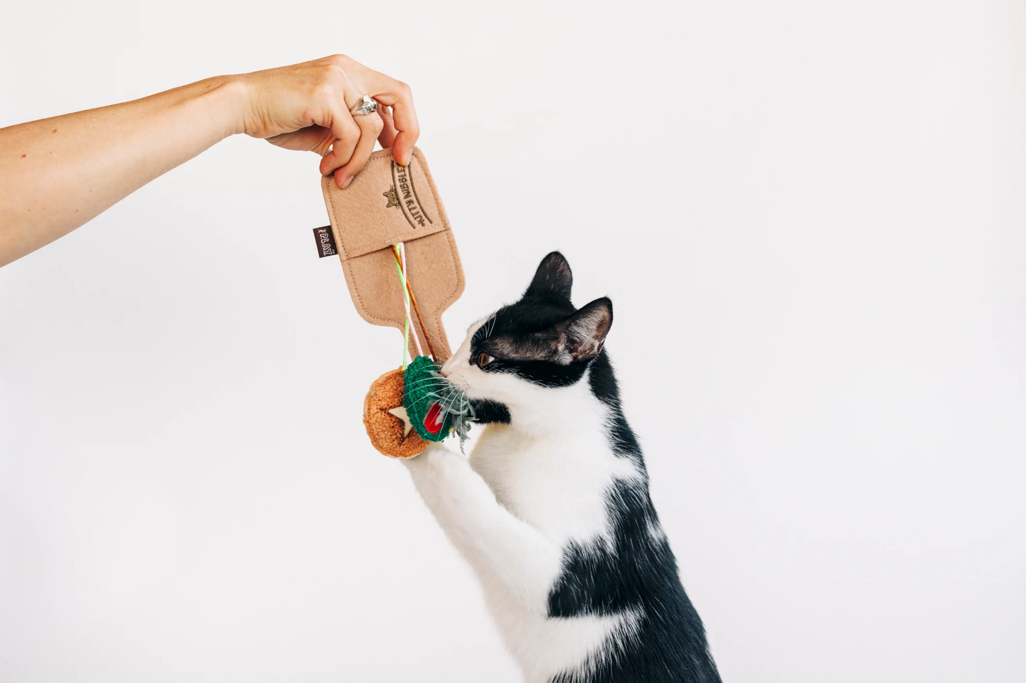 Feline Frenzy Purrfect Pairings - Image 2
