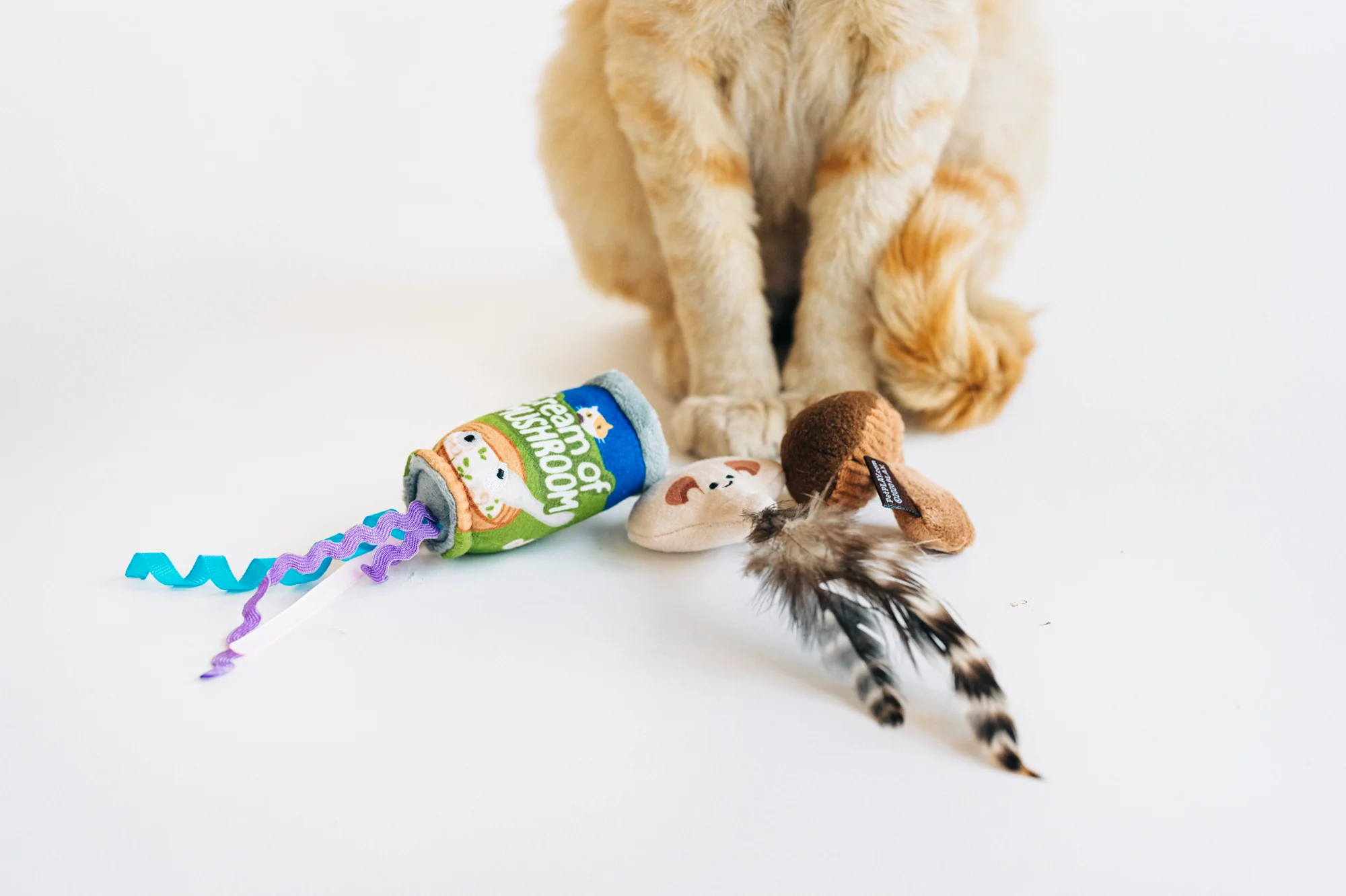 Feline Frenzy Purrfectly Fungi - Image 4
