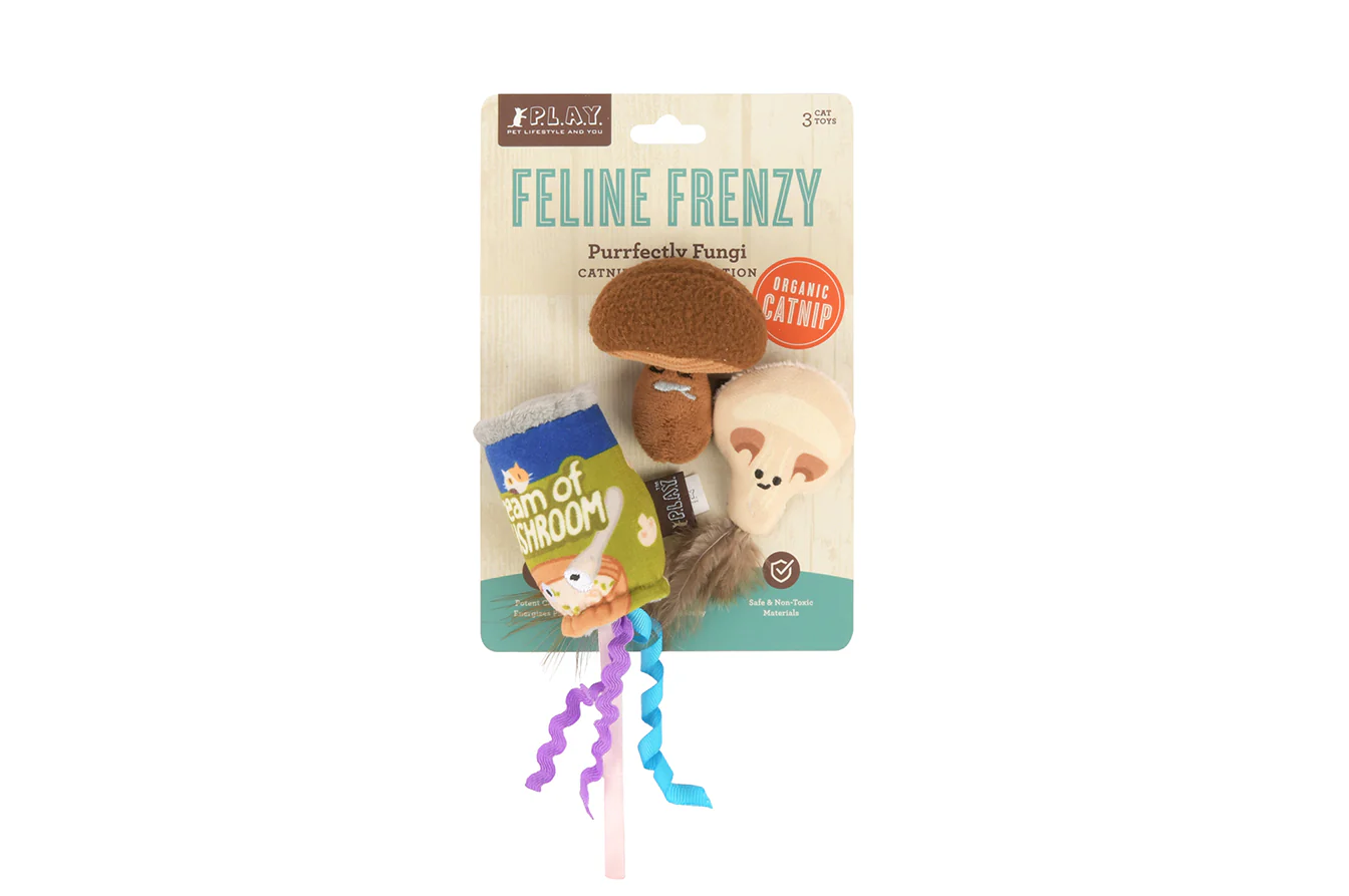 Feline Frenzy Purrfectly Fungi - Image 6