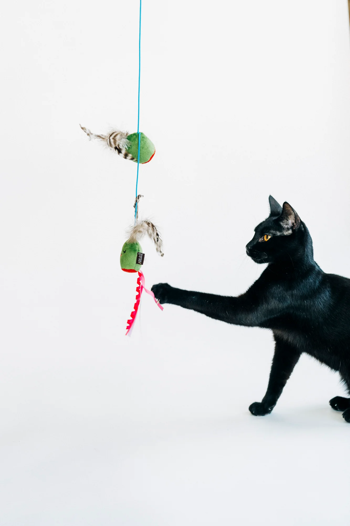 Feline Frenzy Purrfectly Pitted Wand - Image 3