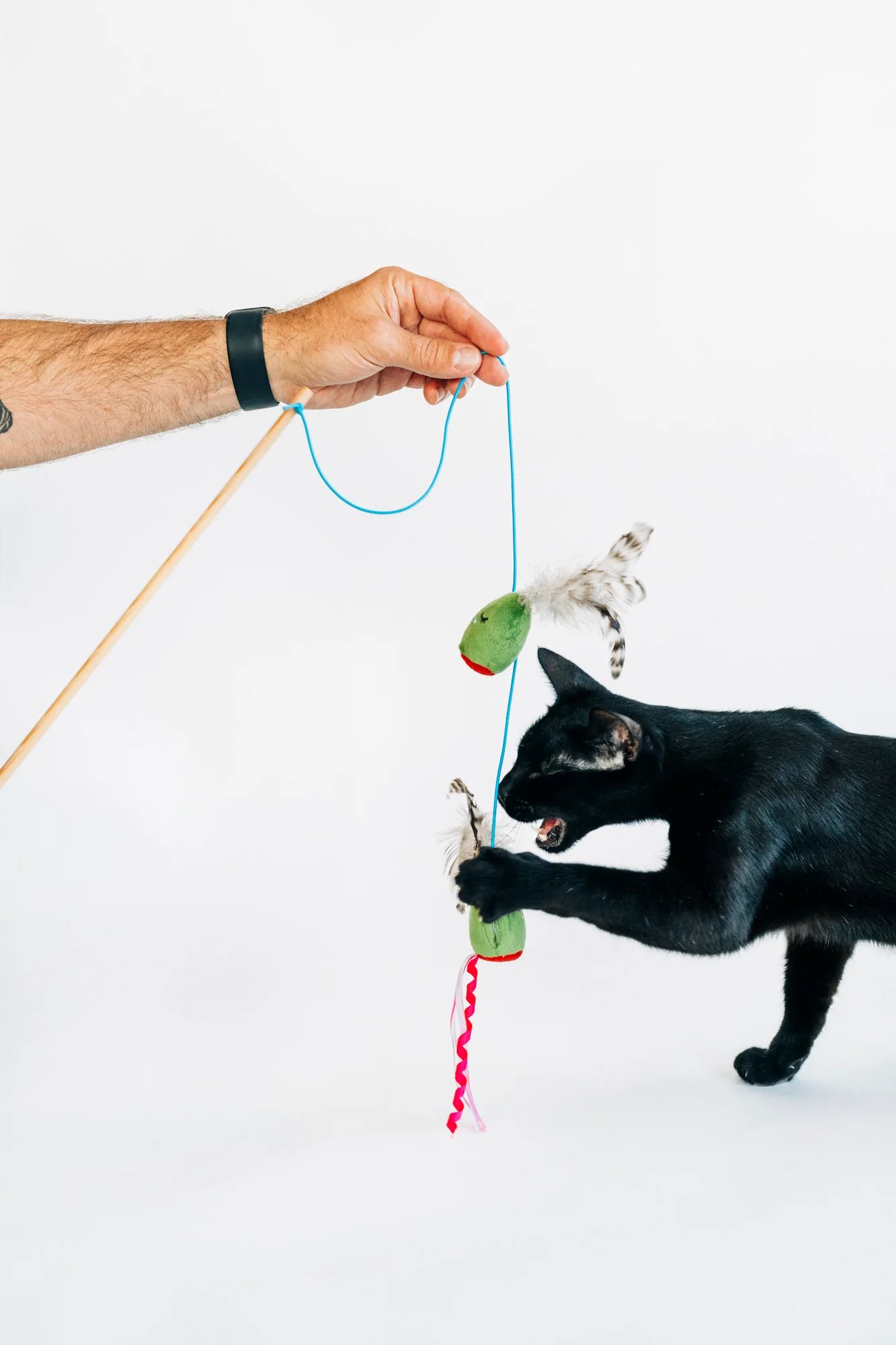 Feline Frenzy Purrfectly Pitted Wand - Image 5