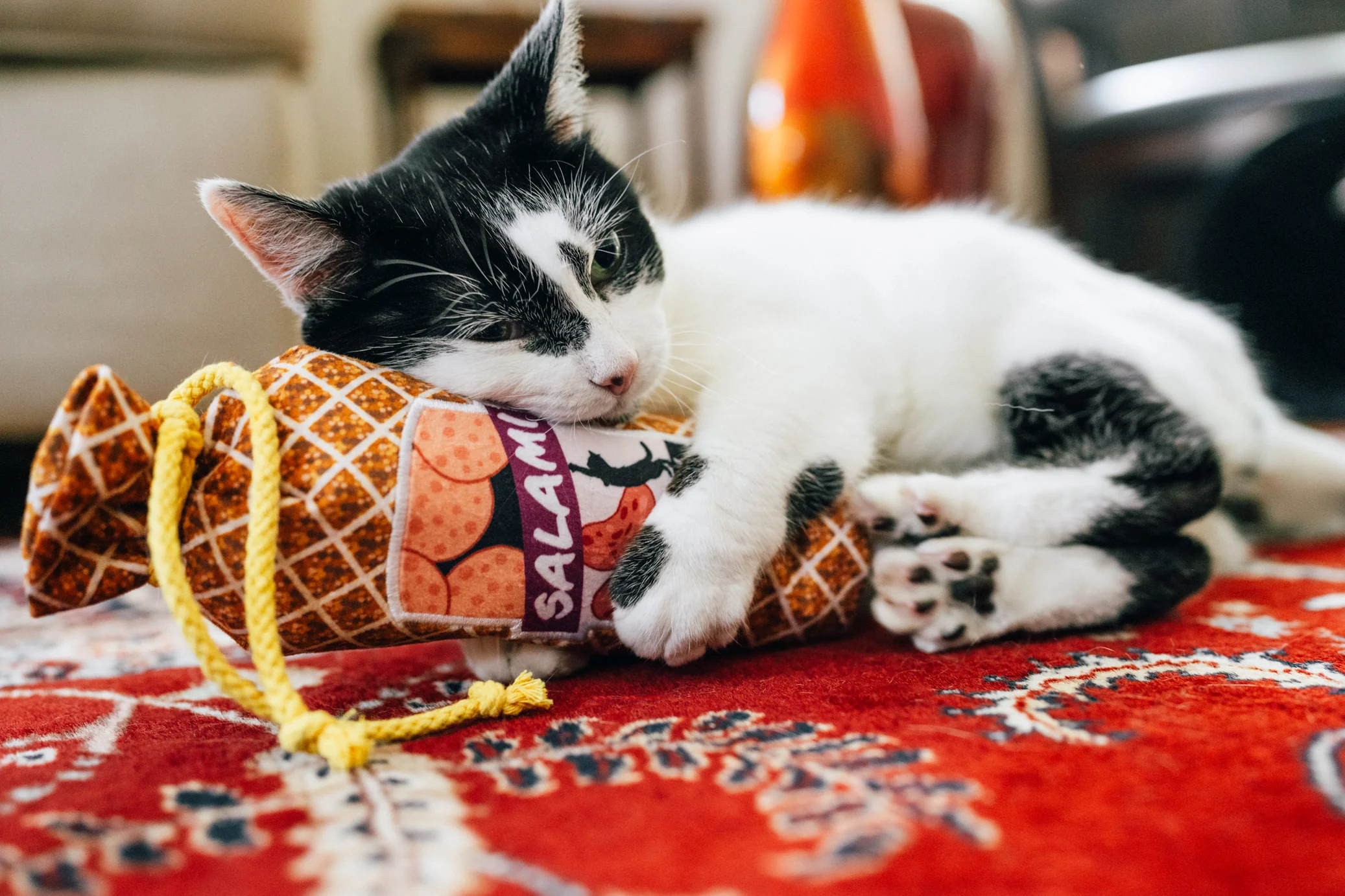 Feline Frenzy Salami Slammer Kicker Toy - Image 3