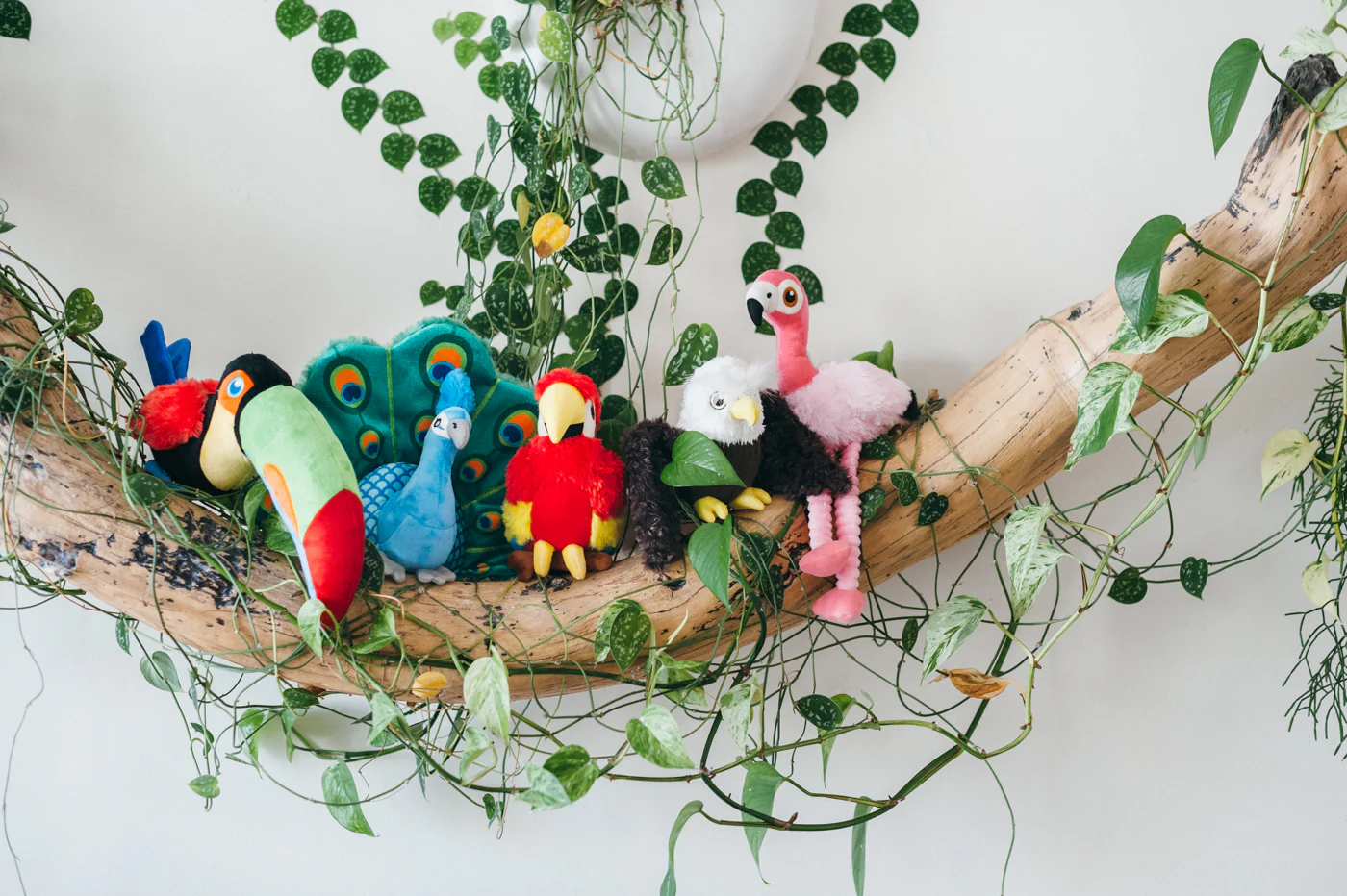 Fetching Flock Collection - Image 3