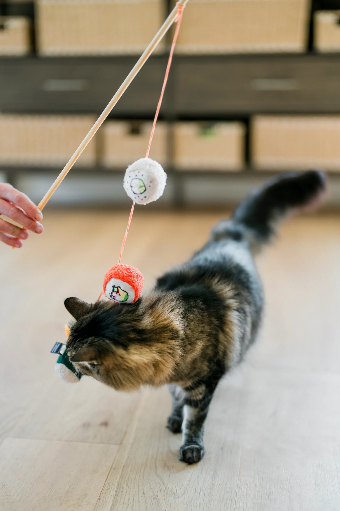 Fog City Pet x Feline Frenzy Roll With It Wand - Image 3