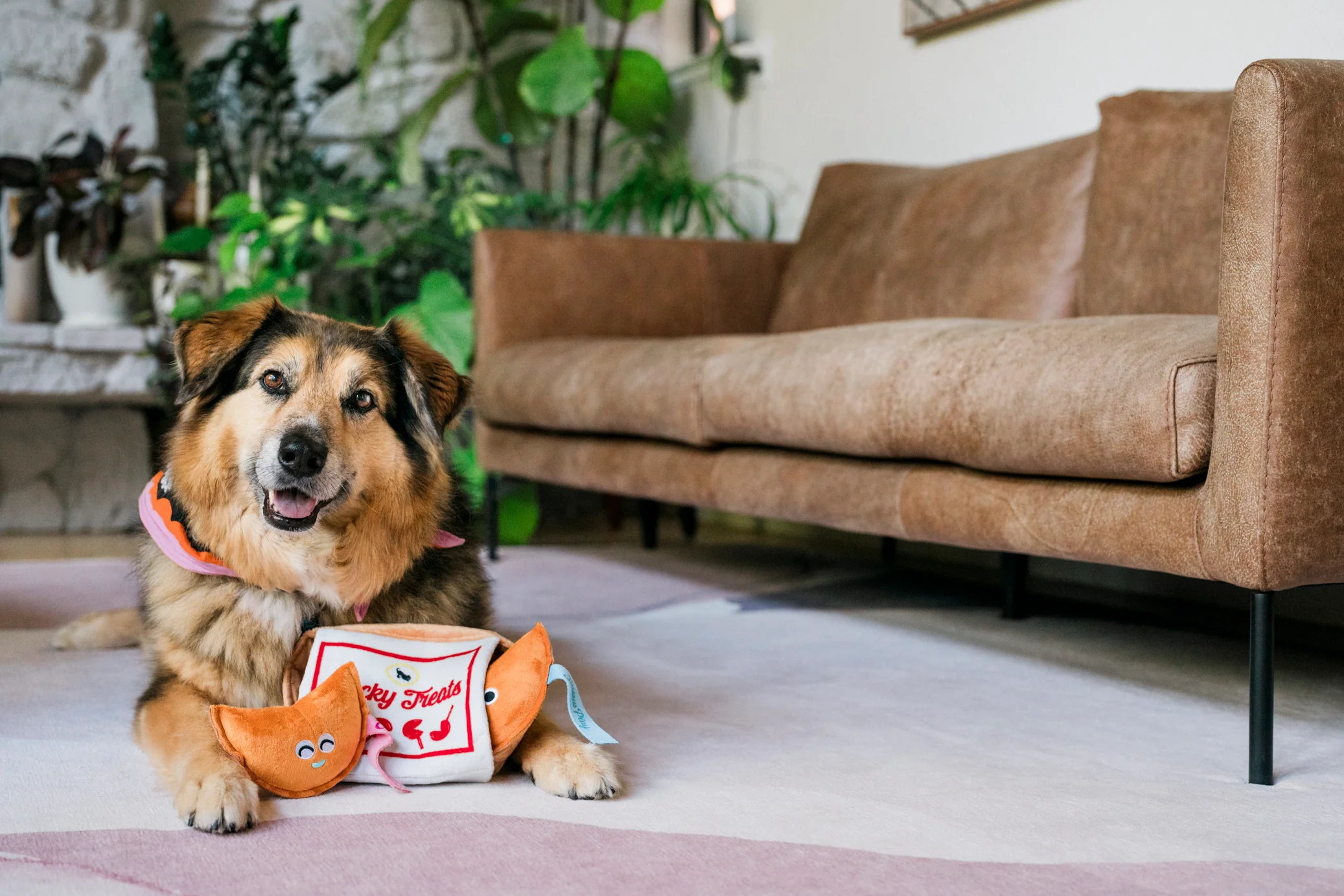 Fog City Pet x Play Lucky Treats - Image 6