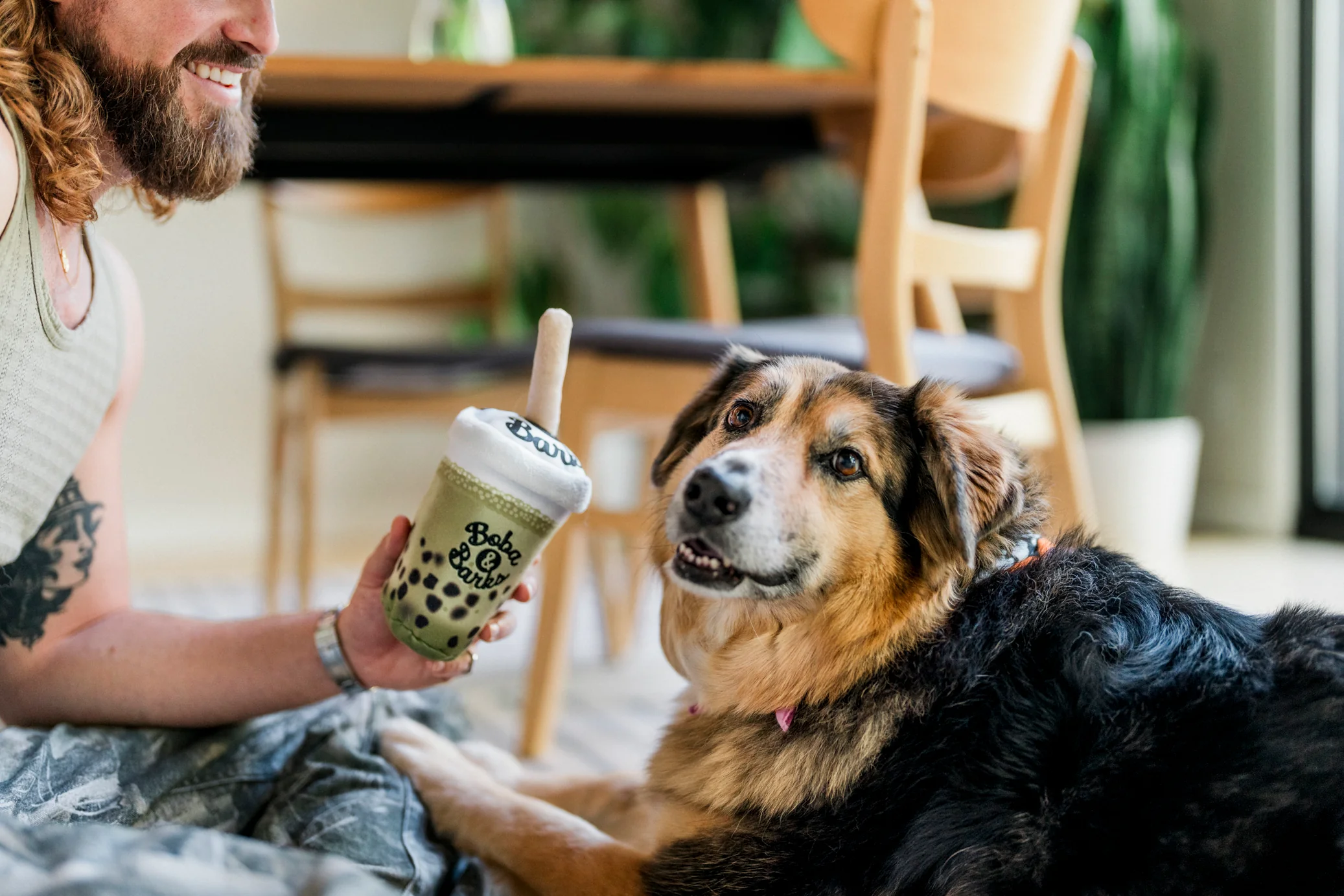 Fog City Pet x Play Matcha Boba - Image 5