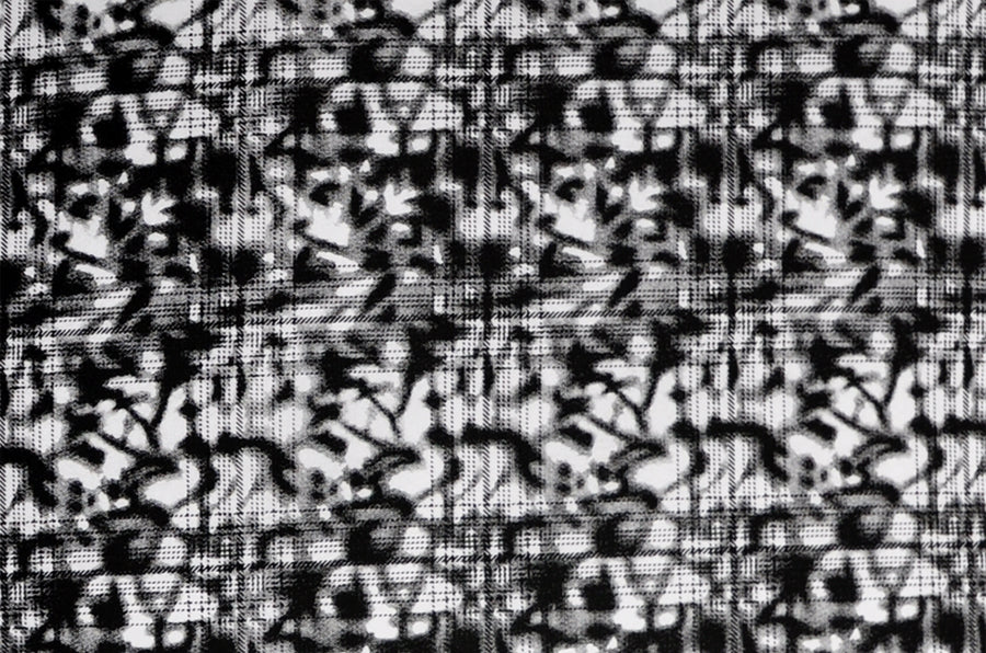 Frolic (Cover Only) - Image 6
