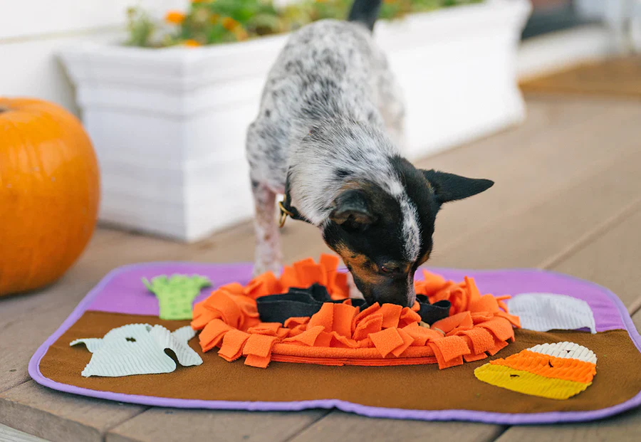 Halloween Snuffle Mat - Image 3