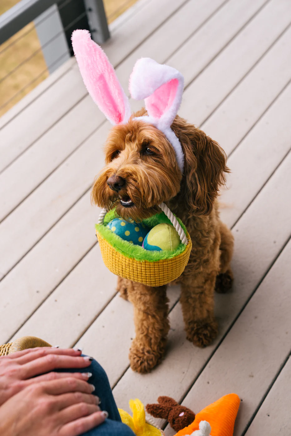 Hippity Hoppity Collection - Image 10