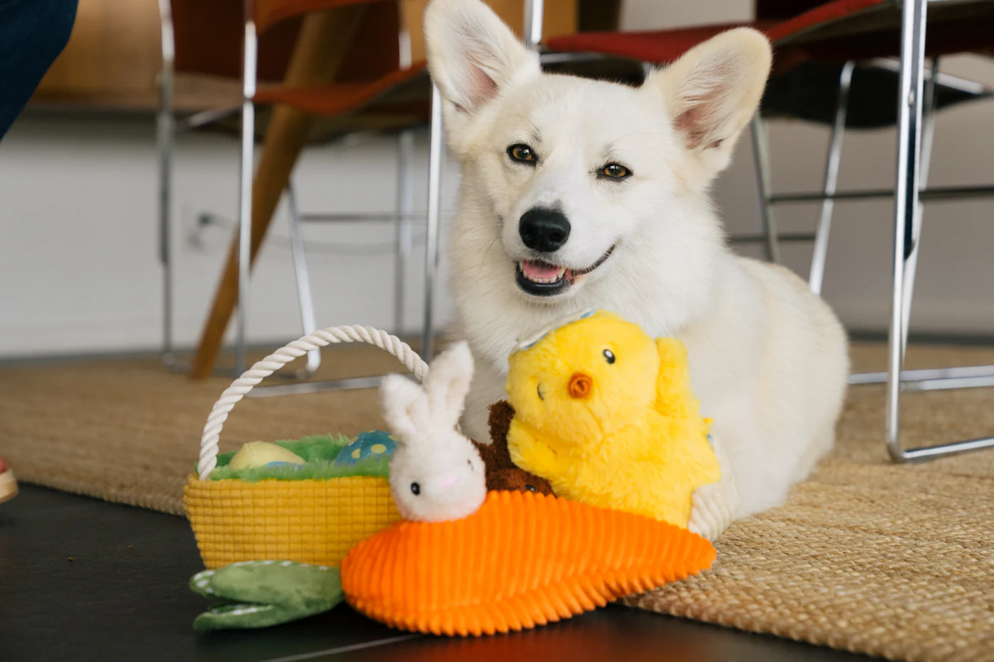 Hippity Hoppity Collection - Image 15