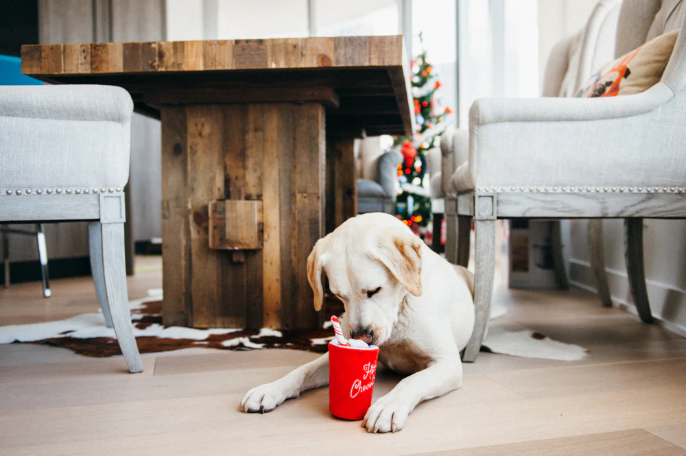 Holiday Classic Ho Ho Ho Hot Chocolate - Image 6