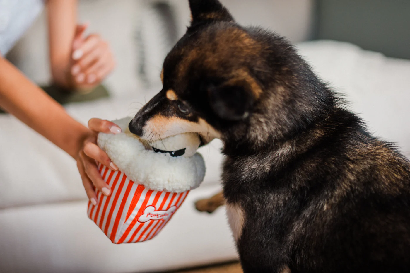 Hollywoof Cinema Poppin' Pupcorn - Image 3