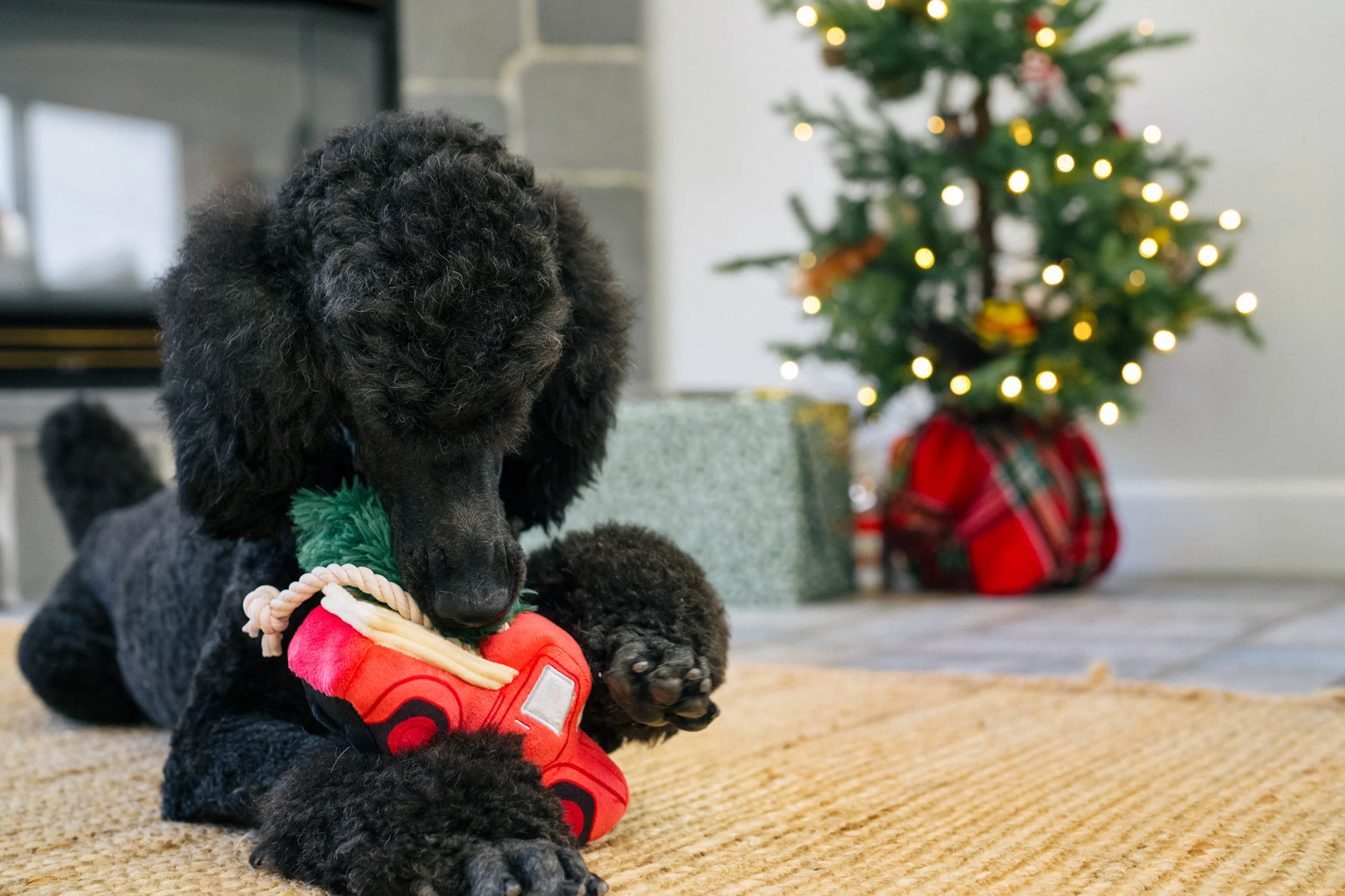Home for the Holidays Collection - Image 16