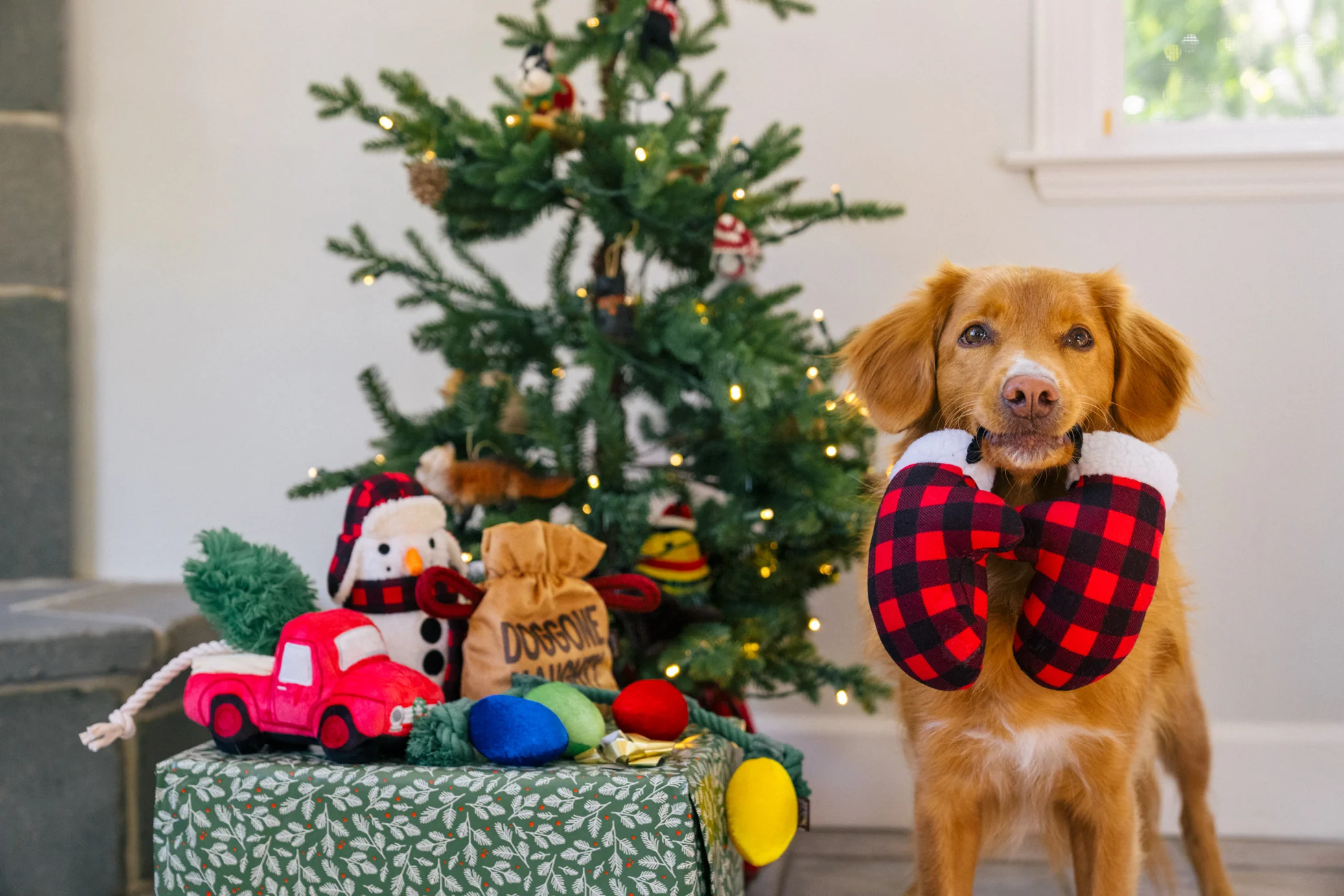 Home for the Holidays Collection - Image 2