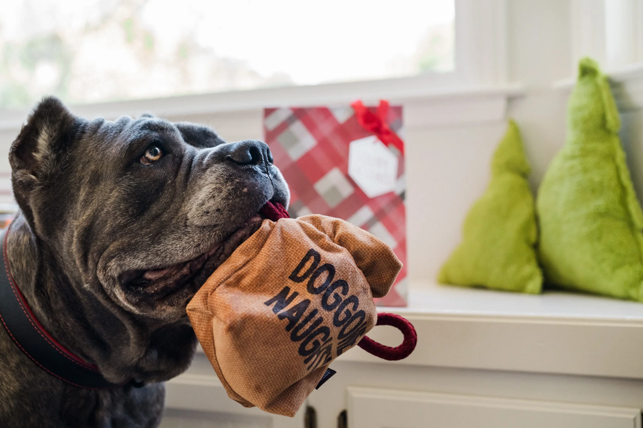 Home for the Holidays Collection - Image 9