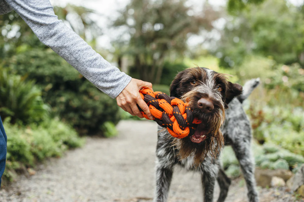 Honeycomb Rope Toy - Image 2