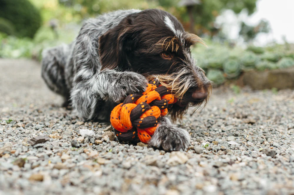 Honeycomb Rope Toy - Image 4