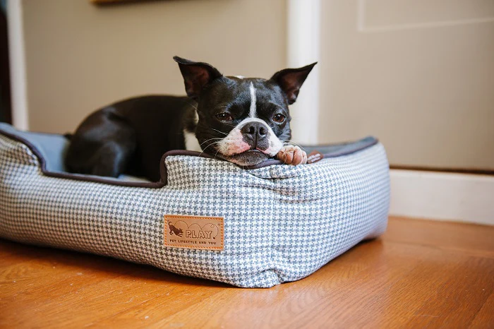 Houndstooth Lounge Bed - Image 5